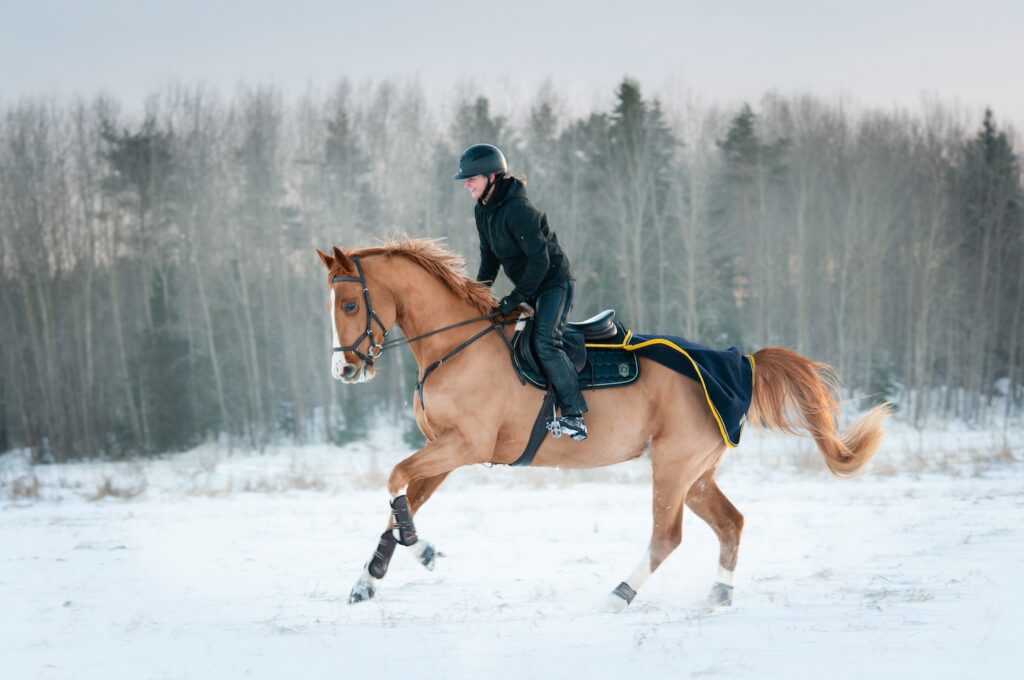 Yohanna Andersson & Checkmate