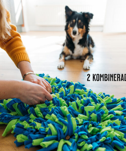 Aktiveringsmatta med hund i bakgrunden