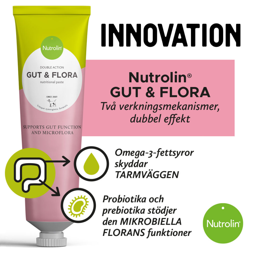 Nutrolin® HIP & JOINT-pasta