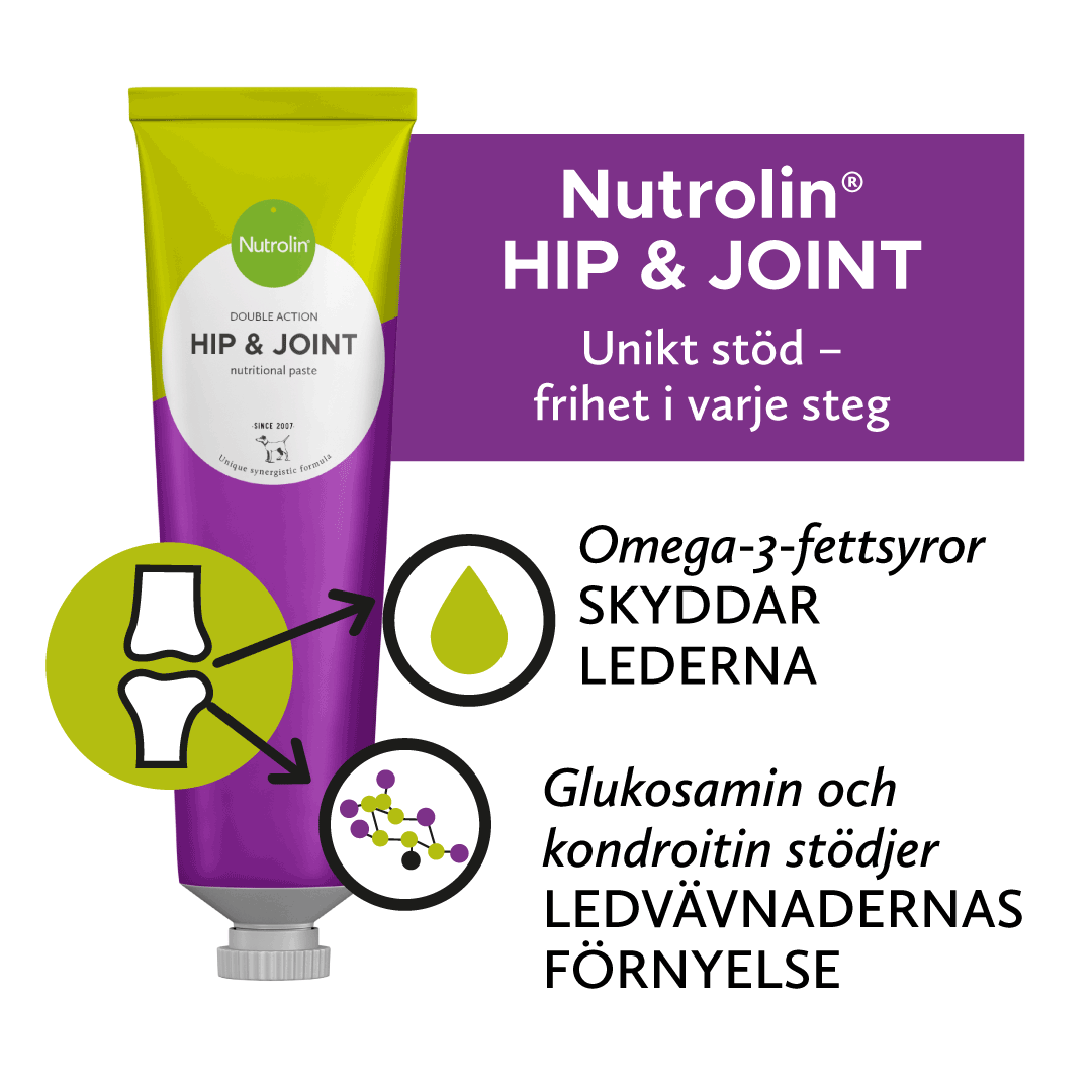 Nutrolin® HIP & JOINT-pasta Nutrolin® HIP & JOINT-pasta