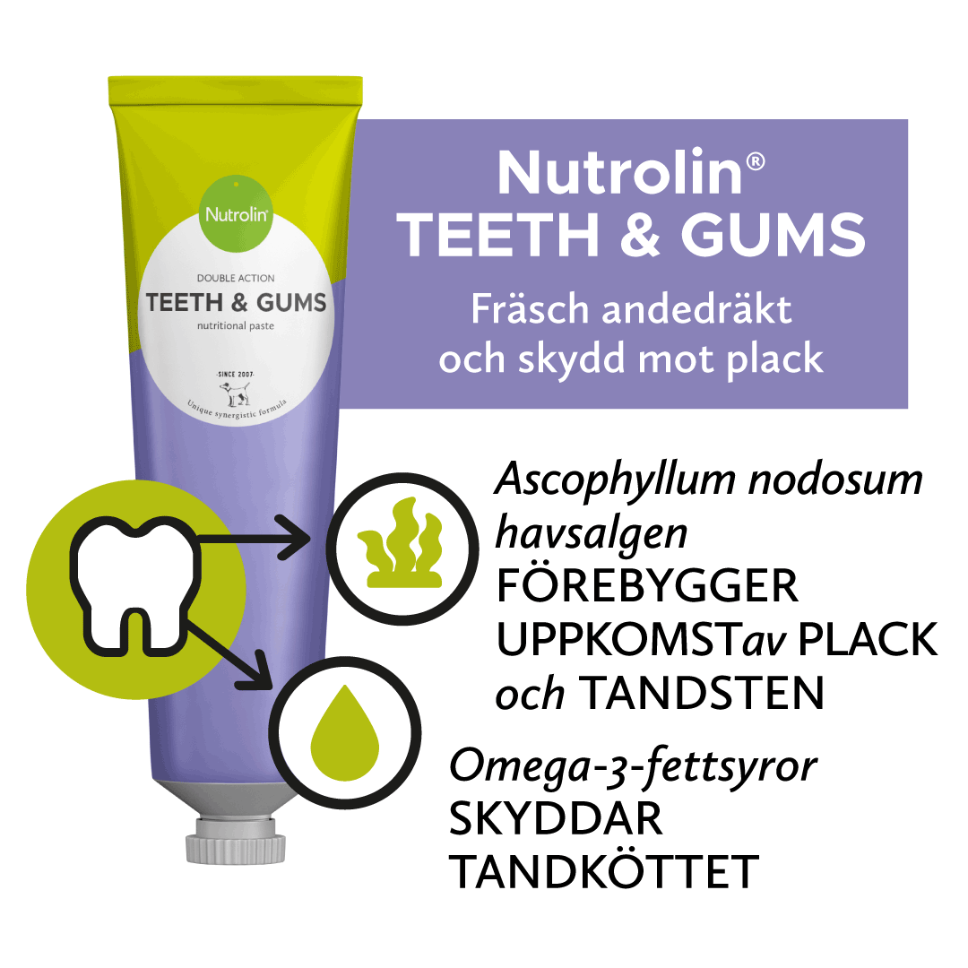 Nutrolin® HIP & JOINT-pasta Nutrolin® HIP & JOINT-pasta