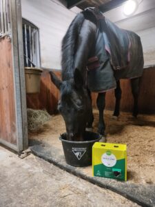 Hästen Hottis med ett paket Nutrolin® HORSE Skin & Coat