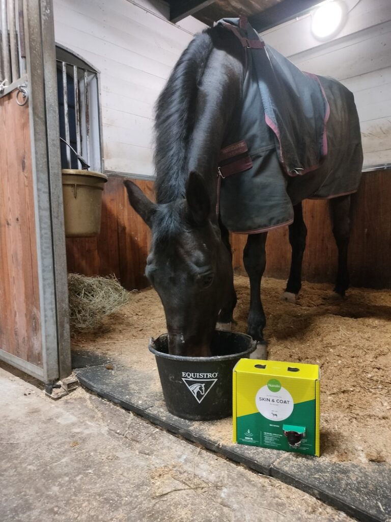 Hästen Hottis med ett paket Nutrolin® HORSE Skin & Coat