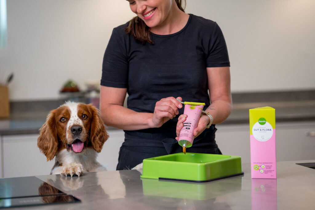 Probiotika hund – då hundens mage är i obalans ger probiotika, prebiotika och omega-3 EPA och DHA hjälp.