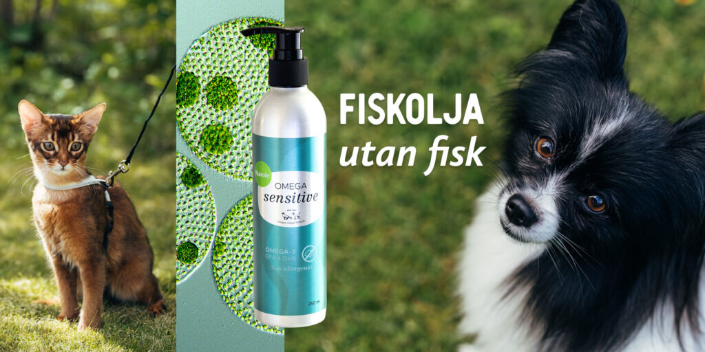 Nutrolin® OMEGA SENSITIVE® är lika med fiskolja utan fisk till hund och katt.