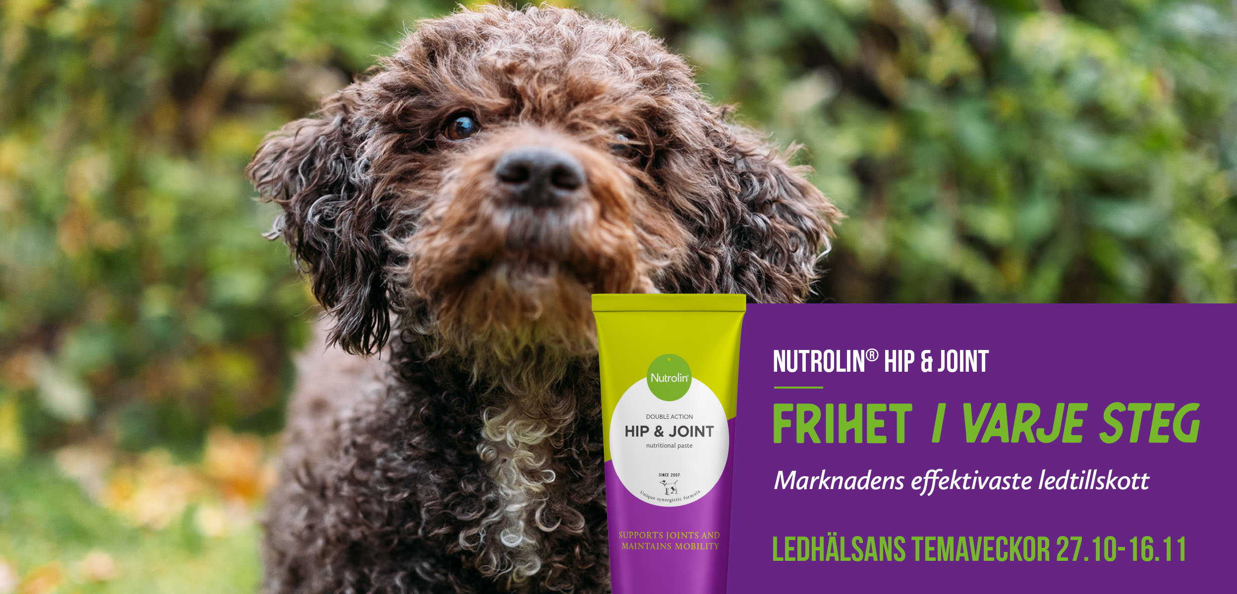 Nutrolin® ledhalsans temaveckor Nutrolin Hip Joint
