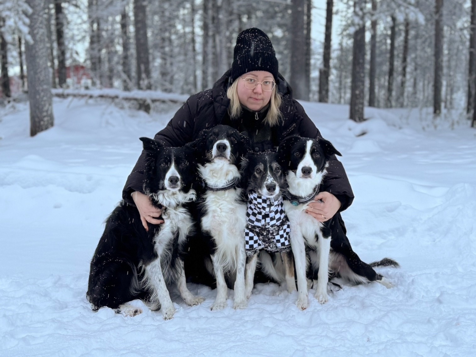 Evelina Hermansen har fyra border collies som alla får Nutrolin®-produkter som tillskott.