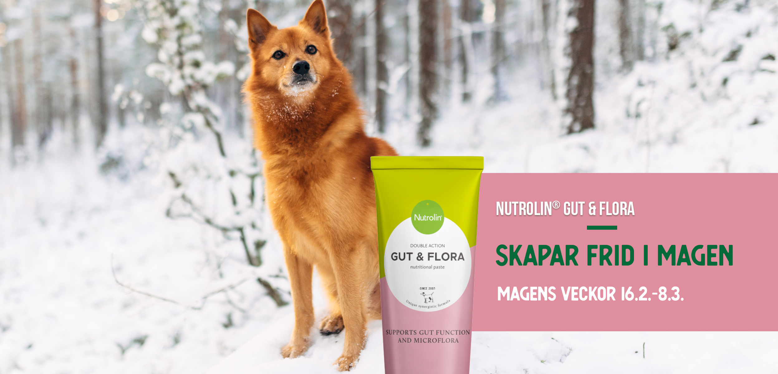 Nutrolin® magens temaveckor Nutrolin Gut Flora SE