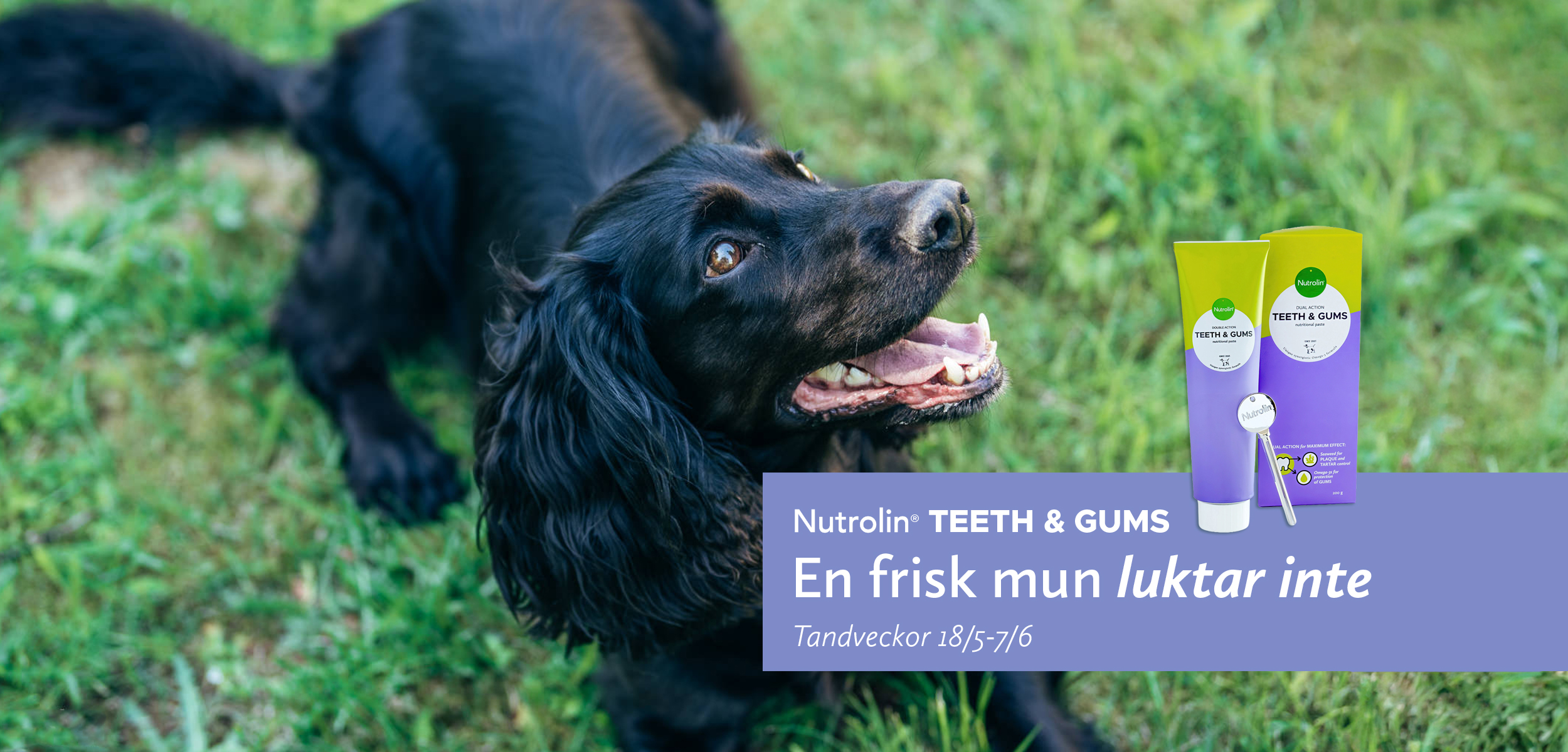 Nutrolin® Tandveckor 2026