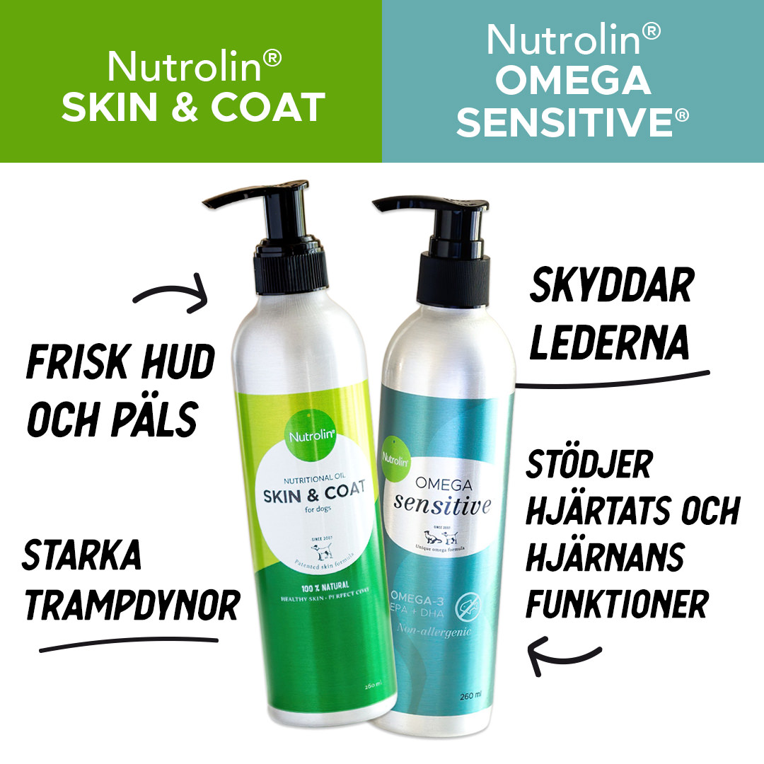 Välmående inifrån och ut – 260 ml Välmående inifrån och ut – 260 ml