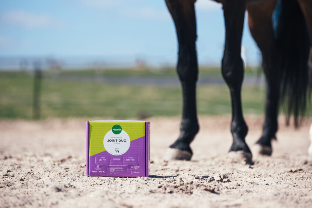 Nutrolin® HORSE Joint Duo är en unik kombination fiskoljans omega-3-fettsyror EPA och DHA, glukosamin och hyaluronsyra.