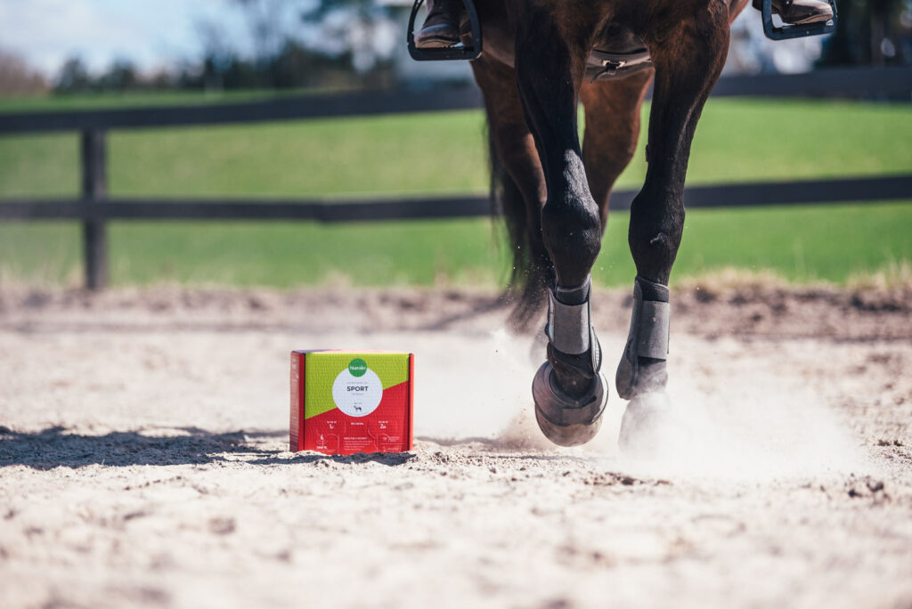 Välj Nutrolin® HORSE Sport när hästens prestationsförmåga och återhämtning sätts på prov