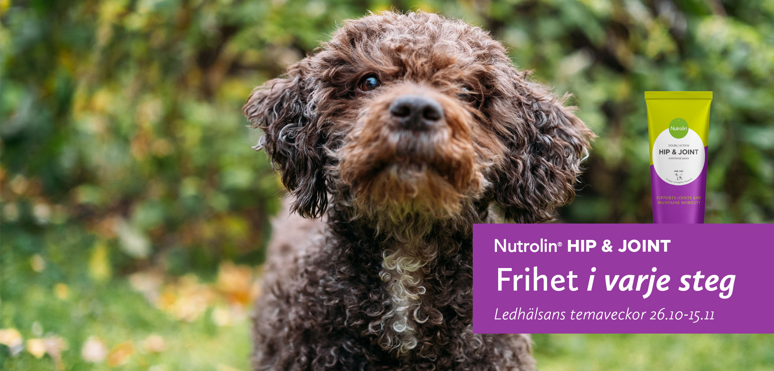 Nutrolin® Ledhälsans temaveckor 2026