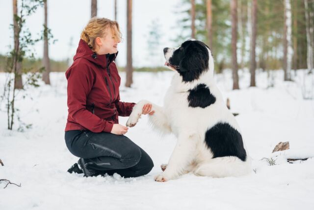 Red paws or cracked paw pads? 🐾
If your dog's paws are red and the paw pads are rough and cracked, the feet are not healthy. Problems with paw pads usually stem from weaknesses in the protective skin barrier.💚 Nutrolin® SKIN & COAT is a patented oil supplement that cares for your dog’s paws from the inside.#Nutrolinlife #Nutrolin #Nutrolindogs #NutrolinSkinCoat
#doghealth #hundhälsa #koiranhyvinvointi