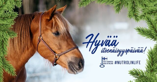 Happy Independence Day, Finland! 🇫🇮💙 Who's had the chance to experience the beauty of our chilly yet stunning country? 🌲#Nutrolinlife #Nutrolin #Itsenäisyyspäivä