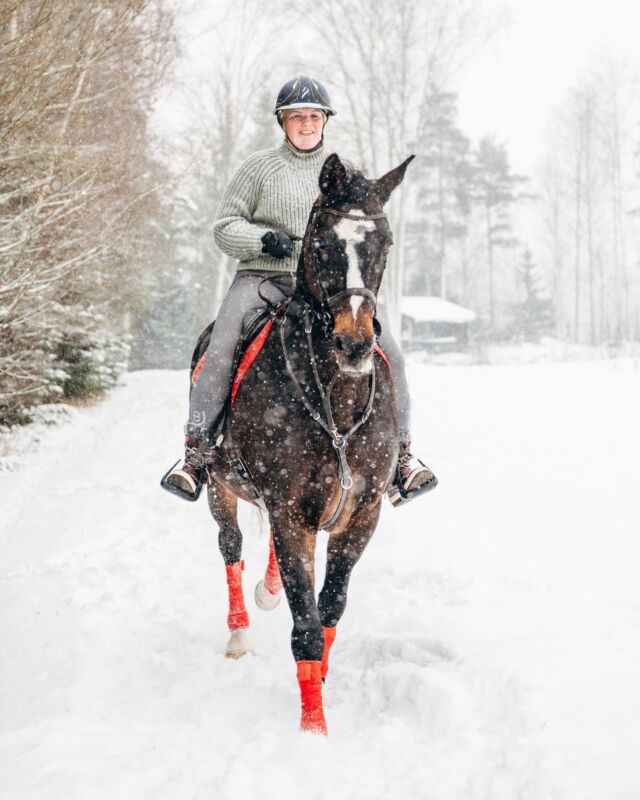 ❄️ Snow, Snow, Snow! This spring is undoubtedly testing our patience 😅Does it feel like spring where you live?#Nutrolinlife #Nutrolin #Nutrolinhorses #spring #Equestrian #hevonen #häst