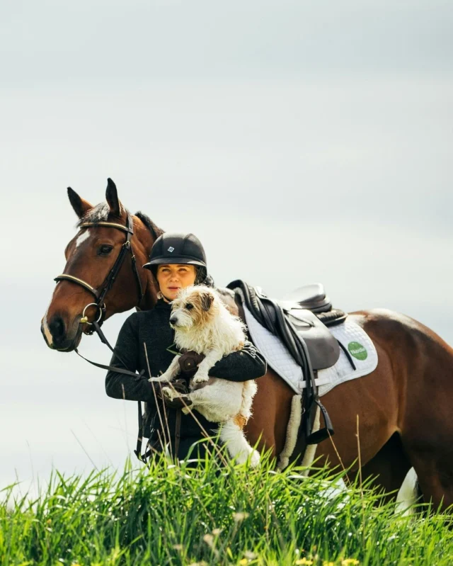 We’re not sure anyone is more dedicated to their job than a stable dog. Their paws cover thousands of steps every single day! 🐾Not every furry friend at the stable fits the sport dog category, but could the fish oil–free Nutrolin® OMEGA SENSITIVE® be the perfect match?It supports muscle recovery, cares for joints, and keeps the senses sharp!📸 Share a photo of a barn dog who might love to try this new product!#nutrolinlife #tallikoira #ratsastaja #hevoset