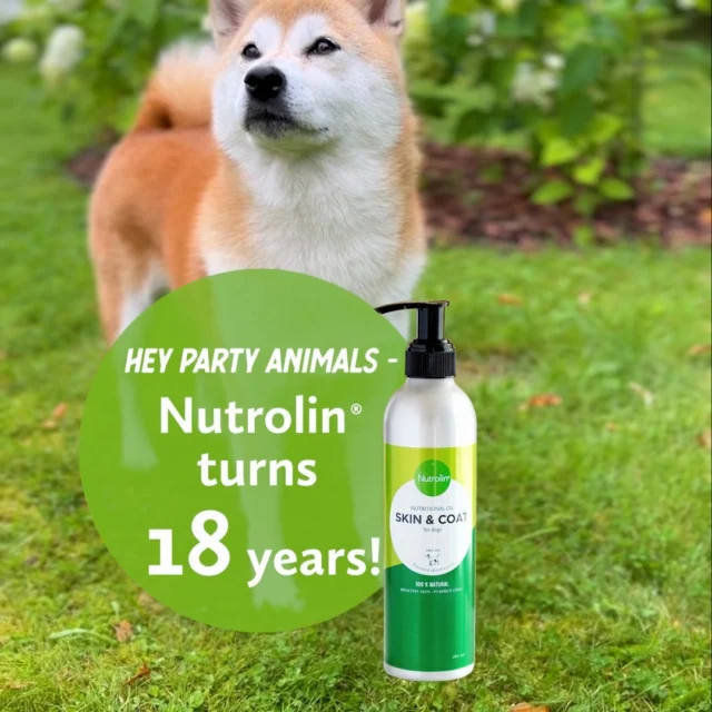 Guess who’s about to have a birthday? 🥳You got it right! The company behind Nutrolin® products, Olini Ltd., turns 18. 🥰Our very first product, Nutrolin® SKIN & COAT, is still number one — a trusted favourite that nourishes your dog’s skin and coat.It also doubles as a paw balm like no other. 💚To celebrate, you can get a 265 ml bottle of Nutrolin® SKIN & COAT for just €18!This offer is valid for 265 ml Nutrolin® SKIN & COAT bottles ordered from our online shop between August 18–21, 2025.