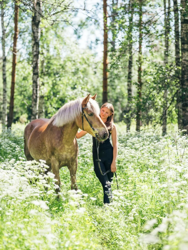 Raise the flag and take your hats off – it’s the day of our national treasure, the Finnhorse! 💙🤍The Finnhorse is Finland’s only native horse breed, developed in the 19th century as a true all-rounder.Throughout history it has been a farm horse, war horse, work horse in the forests, and a reliable partner in harness racing and riding.Today, the Finnhorse is still cherished for its strength, versatility, and gentle nature. 🥰#nutrolinlife #suomenhevonen #suomenhevosenpäivä #suomenhevonenparashevonen
