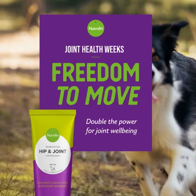 What do we mean when we say Nutrolin® HIP & JOINT is a unique joint supplement?💜 It contains more omega-3 fatty acids from fish oil than other products. Studies show that only a high amount of omega-3s can truly protect the joints.💜 The fatty acids are combined with joint nutrients. Glucosamine and chondroitin sulphate support the renewal of joint tissue.💜 We fill the paste into aluminium tubes that protect it from oxidation. Don’t trust transparent or plastic jars – rancid oil is harmful.We believ… no, we know that Nutrolin® HIP & JOINT is a product that works. It’s trusted by tens of thousands of dogs and cats who’ve found relief with it.Joint Health Weeks 27 Oct–16 Nov – Freedom to Move!
During Joint Health Weeks, we’re sharing knowledge and tips to support your pet’s joint health.#NutrolinLife #NutrolinHipJoint