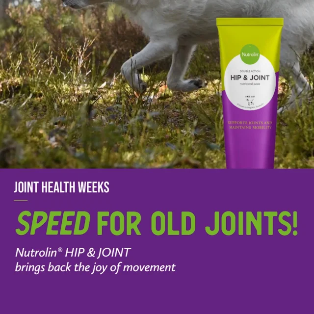 “Hi, I have an older dog who seems a bit stiff at times. Should I try the Nutrolin® HIP & JOINT paste?”Hello! It’s wonderful that you want to help your dog feel better. 🥰For senior dogs, we primarily recommend Nutrolin® SENIOR oil. It provides the omega-3 fatty acids from fish oil that are important for ageing dogs. This product lifts your senior dog’s mood and supports the brain, eyes, heart, and joints.If your dog has been diagnosed with osteoarthritis or other joint issues, choose Nutrolin® HIP & JOINT. The product combines omega-3 fatty acids from fish oil with joint nutrients.You’ll find detailed product information on our website.Greetings from Finland!Warm regards,
The Nutrolin® Team 💚Joint Health Weeks 27 Oct–16 Nov – Freedom to Move!
During Joint Health Weeks, we’re sharing knowledge and tips to support your pet’s joint health.#NutrolinLife #NutrolinHipJoint