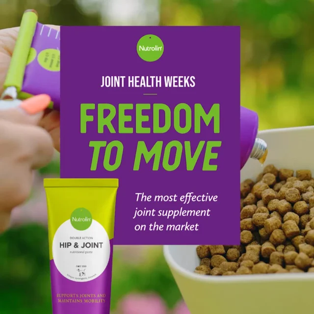 “Hi there! Your joint paste has worked really well for us, but I find it a bit tricky to measure the right amount. Any tips?”Hello there! Great to hear that Nutrolin® HIP & JOINT has been helping your dog. 🤗Nutrolin® products aren’t medicines, so you can be relaxed about the dosage. The correct dosage for your pet depends on its weight.You can measure the correct amount of paste into the bottom of the dog bowl, and after that, simply squeeze out the same amount by eye. You can also use a teaspoon for guidance: one portion equals one teaspoon of paste.The most important thing is that your dog receives the right total amount of paste over one to two months.The longer your dog uses Nutrolin® HIP & JOINT, the more omega-3 fatty acids build up in the body. After about three months, the levels reach their peak.Greetings from Finland!Warm regards,
The Nutrolin® Team 💚Joint Health Weeks 27 Oct–16 Nov – Freedom to Move!
During Joint Health Weeks, we’re sharing knowledge and tips to support your pet’s joint health.#NutrolinLife #NutrolinHipJoint