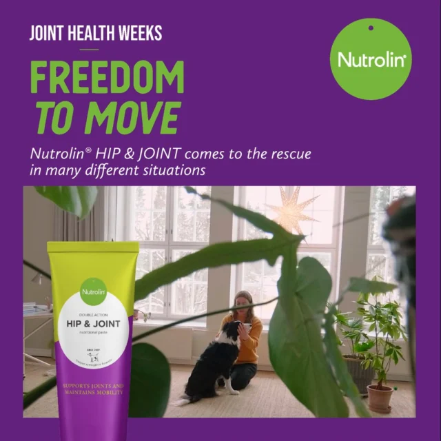 Do your dog’s joints need support? 🫶🏼Joint supplements are often thought of only for osteoarthritis, but Nutrolin® HIP & JOINT comes to the rescue in many different situations.💜 Gentle giants — that is, really large dogs — put their joints under a lot of strain.💜 Screenings sometimes reveal surprises, like a grade C hips or grade 1 elbows.💜 Dogs need extra joint support before and after orthopedic surgery.💜 Senior dogs may start moving stiffly as they age.Nutrolin® HIP & JOINT supports joint health and helps reduce inflammation related to osteoarthritis. Omega-3 fatty acids from fish oil, together with joint nutrients, help your dog stay comfortable and active at every stage of life.Freedom to move. Every day.Joint Health Weeks 27 Oct–16 Nov – Freedom to Move!
During Joint Health Weeks, we’re sharing knowledge and tips to support your pet’s joint health.#NutrolinLife #NutrolinHipJoint