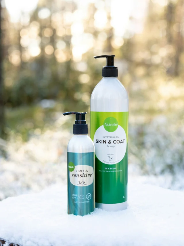 We have something special, just for you. 🫵🏻Nutrolin® SKIN & COAT is our flagship product — born in the North, where winter air is cold and dry. It reduces itching and helps control shedding, keeping your dog’s skin and coat healthy through the harshest season.SKIN & COAT has a best friend: Nutrolin® OMEGA SENSITIVE®. This everyday oil supports your dog’s overall wellbeing, especially their joints, heart, and brain.We’ve been doing this for a very long time. We know our products work, and before long, you’ll know it too.(Available in small and large bottles to suit your needs.)