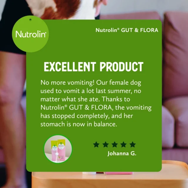 No more vomiting! 🙌Johanna’s dog got relief with Nutrolin® GUT & FLORA multi-action paste. This product soothes even the most sensitive stomach. 🥰"Excellent product - No more vomiting! Our female dog used to vomit a lot last summer, no matter what she ate. Thanks to Nutrolin® GUT & FLORA, the vomiting has stopped completely, and her stomach is now in balance." -Johanna G.