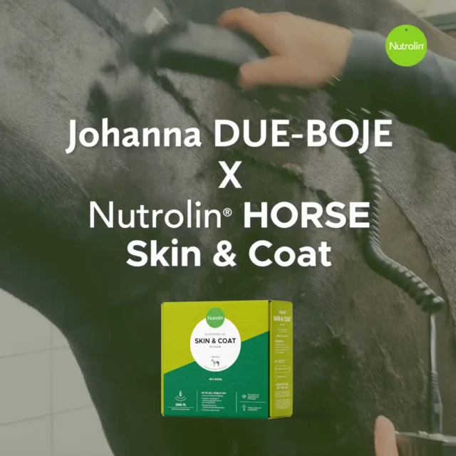Winter wellness starts within. 💚As the cold season approaches the Northern Hemisphere, so does dryness!With the dry air, clipped horses, and thick blankets, you may encounter a few different skin issues in your horse.Help your horse with a little extra care. Nutrolin® nourishes from the inside out. 🐎#nutrolinlife #horsehealth