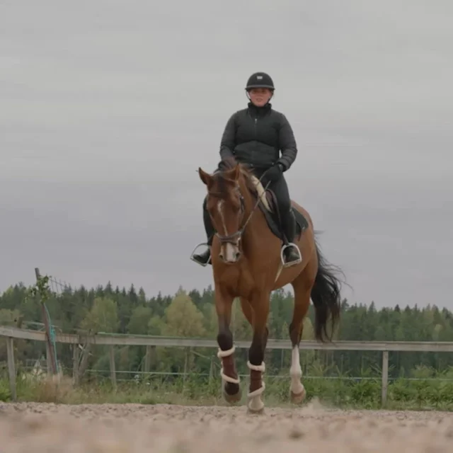 Nutrolin® HORSE Joint Duo uniquely combines omegas and joint nutrients. 💜 The omega-3 fatty acids in fish oil help protect the joints, while glucosamine and hyaluronic acid support the renewal of joint tissue.#nutrolinlife #hevoset #horsehealth