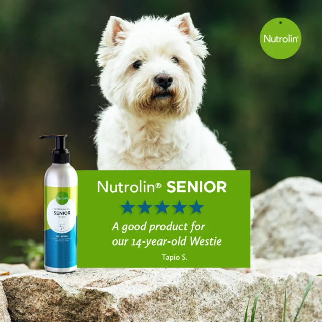 Choose Nutrolin® SENIOR for your oldie-but-goldie companion. 🤩Tapio gives the product solid five stars:"A good product for our 14‑year‑old Westie."⭐️⭐️⭐️⭐️⭐️Nutrolin® SENIOR boosts your senior dog’s energy and mood and supports the function of the brain, eyes, heart, and joints.