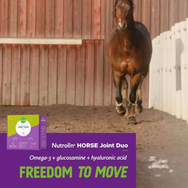 The omega‑3 fatty acids in fish oil are unbeatable when it comes to supporting a horse’s joint health. 💜✅ They help reduce inflammation in the joints
✅ and support the horse’s recovery and endurance.But we took it even further.Nutrolin® HORSE Joint Duo is a joint supplement that combines fatty acids with the key joint nutrients glucosamine and hyaluronic acid.Once the fish oil has done its job, the joint nutrients begin supporting the renewal of joint tissue. Your role is simply to dispense the product: oil from one tap, joint solution from the other. Easier than mucking out a stall!Nutrolin® HORSE Joint Duo also works preventively. Many senior horses and sport horses rely on our product to support long-term joint health.Since movement is essential for a horse’s life, it’s wise to gallop to the store sooner rather than later. 🐎🔸 Wellbeing for horses! — During Horse Weeks, April 8–26, we’re sharing information about equine health and fatty acids. You’ll also have a chance to explore the Nutrolin® HORSE products.