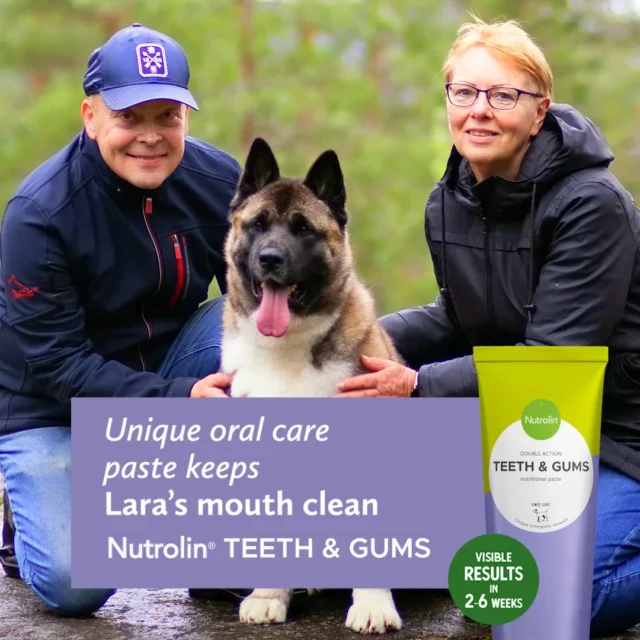 This is Lara.During a procedure related to a bite issue, the veterinarian discovered that three-year-old Lara had an AI enamel defect. The situation was serious.Without enamel, the gums are highly susceptible to inflammation. 😰Lara’s teeth were cleaned and coated, and the owner began daily dental care at home. 🪥Despite all this, Lara’s teeth started to yellow after a few months. 🫣Fortunately, the owner came across Nutrolin® TEETH & GUMS.🤩 Within a few weeks, Lara’s teeth were noticeably cleaner.
🤩 After about 1.5 months, the teeth were practically back to their normal color.At the annual check-up, Lara surprised even the veterinarian. X-rays confirmed that tartar and gum inflammation were gone.
A couple of years later, in April 2026, the situation remains just as good.“In addition to brushing, Nutrolin® TEETH & GUMS is the only product I use to maintain Lara’s dental health,” the owner says.Well done, Lara! 🐾Dental Weeks May 18—June 7 – Healthy mouth. Fresh breath. During these weeks, we'll share information and tips to support your pet's dental health.#NutrolinLife #NutrolinTeethGums