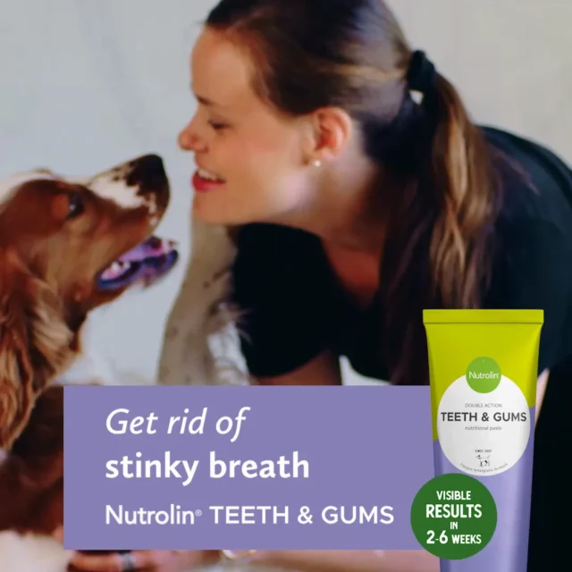 Does your dog’s breath smell like a graveyard?Bad breath in dogs is almost always caused by oral bacteria, inflammation, plaque, or tartar. A healthy mouth doesn’t smell.Nutrolin® TEETH & GUMS freshens your dog’s breath by addressing the root cause of the odor, not just masking it.✅ Omega‑3 fatty acids from fish oil support gum health
✅ Seaweed helps prevent plaque from building up on the teethSimply add the tasty Nutrolin® TEETH & GUMS to your dog’s food. Visible results can typically be expected within 2–6 weeks, although many of our customers report fresher breath even sooner.Before starting, take a quick look inside your dog’s mouth. If the gums are red or bleeding, or if there is a noticeable buildup of tartar on the teeth, the right place to go is the veterinarian.Dental Weeks May 18—June 7 – Healthy mouth. Fresh breath. During these weeks, we'll share information and tips to support your pet's dental health.#NutrolinLife #NutrolinTeethGums
