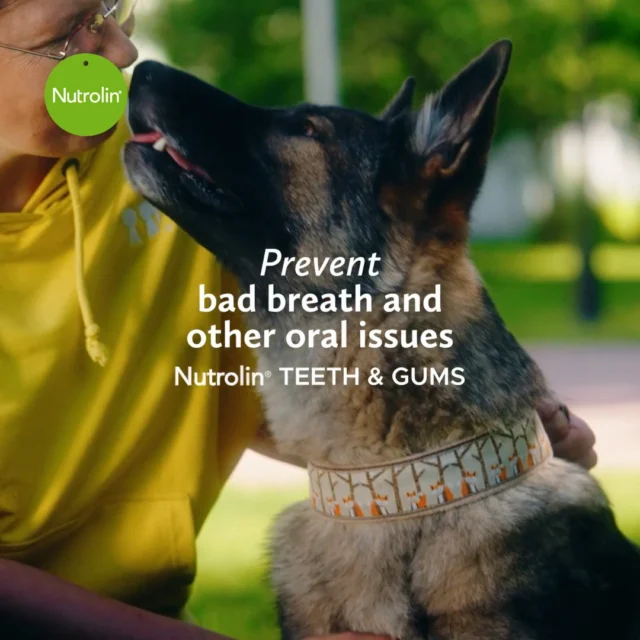 Why have so many dogs benefited from Nutrolin® TEETH & GUMS?Because this edible dental paste uniquely combines ingredients that support oral wellbeing.✅ Omega‑3 fatty acids from fish oil support gum health
✅ Seaweed is well known for helping reduce and prevent plaque and tartar buildupThe paste does not replace careful dental care, but it helps prevent problems effectively.Most oral issues in dogs start with plaque that quietly accumulates on the teeth and hardens into tartar. Soon the breath begins to smell, and in the worst case, gum inflammation can progress into serious periodontal disease.Nutrolin® TEETH & GUMS does what it promises.Add the tasty Nutrolin® TEETH & GUMS to your dog’s food today.Dental Weeks May 18—June 7 – Healthy mouth. Fresh breath. During these weeks, we'll share information and tips to support your pet's dental health.#NutrolinLife #NutrolinTeethGums