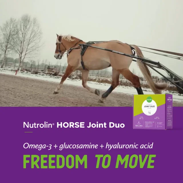 Yoo-hoo... Any horse owners out there? We have some good news for you. 🤩Nutrolin® HORSE Joint Duo has a new, beautiful, price. 🐎OLD PRICE 124,90€ ⬇️ NEW PRICE 109,90€✨ Celebrating 10 years, our joint supplement is key for preventive care. ✨Freedom to move 💜#hevoset #nutrolinlife #nutrolin