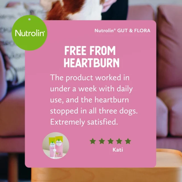 Heartburn is uncomfortable. Nutrolin® GUT & FLORA helps soothe your dog’s stomach."The product worked in under a week with daily use, and the heartburn stopped in all three dogs. Extremely satisfied."
– Kati