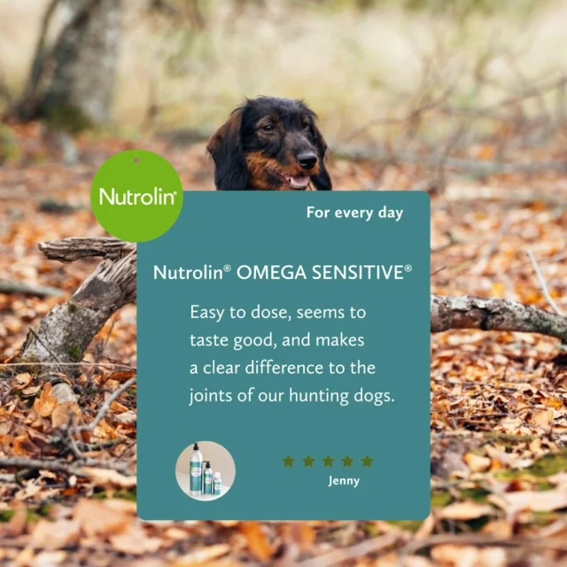 4x more omega-3s than salmon oil? 😳YES, REALLY.Nutrolin® OMEGA SENSITIVE® supports your dog’s wellbeing every single day."Easy to dose, seems to taste good, and makes a clear difference to the joints of our hunting dogs."
– Jenny