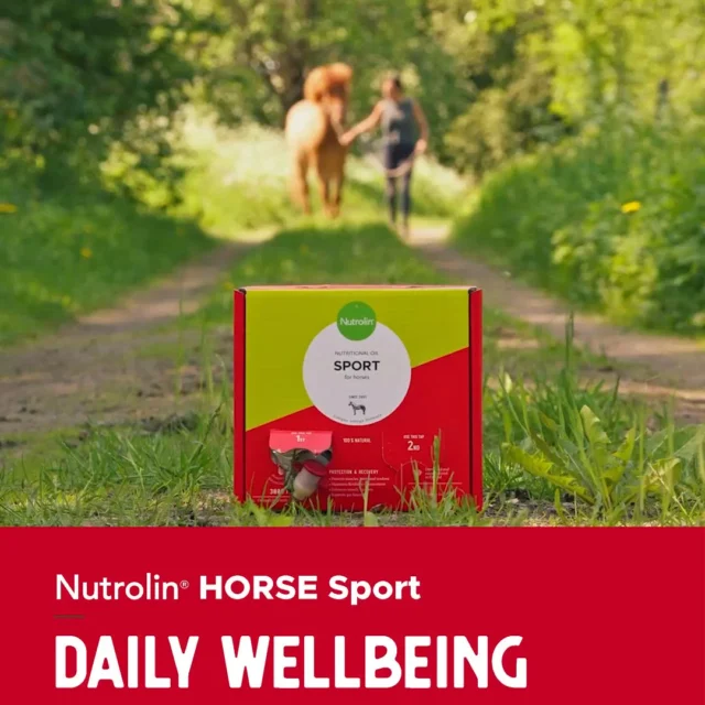 Nutrolin® HORSE Sport was launched 10 years ago specifically with the needs of sport horses in mind. It contains a high amount of omega-3 fatty acids that help repair micro-damage, as well as vitamin E.Since all horses benefit from fatty acids, the user base of HORSE Sport oil has expanded.One significant group of users is broodmares, as the product contains a high level of the omega-3 fatty acid DHA. It supports fertility in mares and the development of foals.Another large group of users consists of horses suffering from digestive issues, which benefit from the lecithin in HORSE Sport oil, rich in phosphocholine.Phosphocholine supports digestive function because oil containing it mixes better with stomach contents than regular oils. It breaks the oil down into tiny fat droplets (so-called self-emulsifying oil technology).Thanks to its high content of omega-3 fatty acids EPA and DHA, along with phosphocholine, Nutrolin® HORSE Sport oil soothes the horse’s gut and promotes its well-being.Quite a versatile oil, isn’t it! ❤️